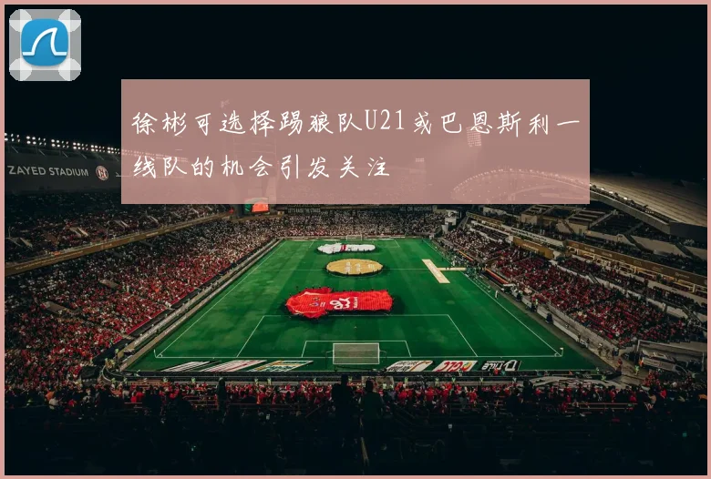 徐彬可选择踢狼队U21或巴恩斯利一线队的机会引发关注