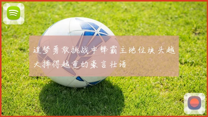 追梦勇敢挑战中锋霸主地位块头越大摔得越重的豪言壮语